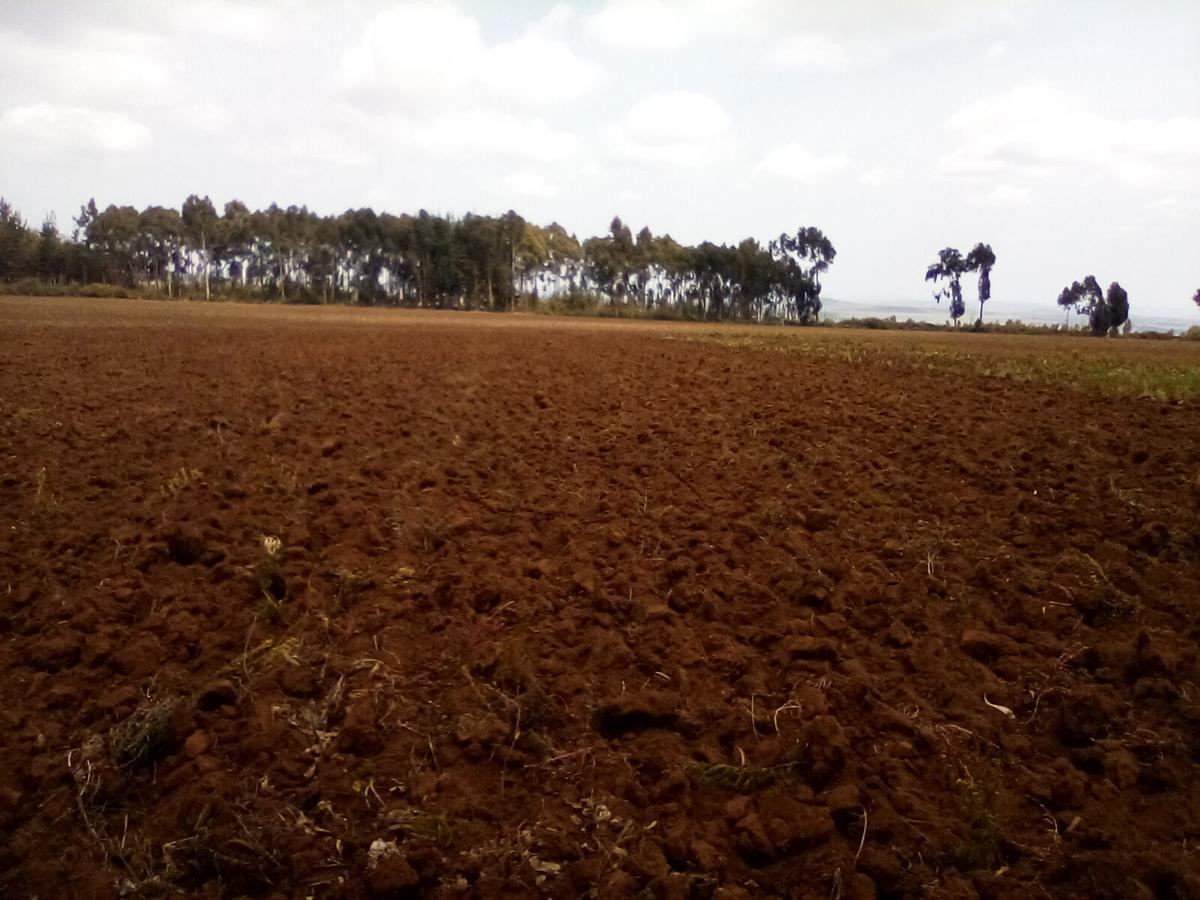 Land at Timau - 12