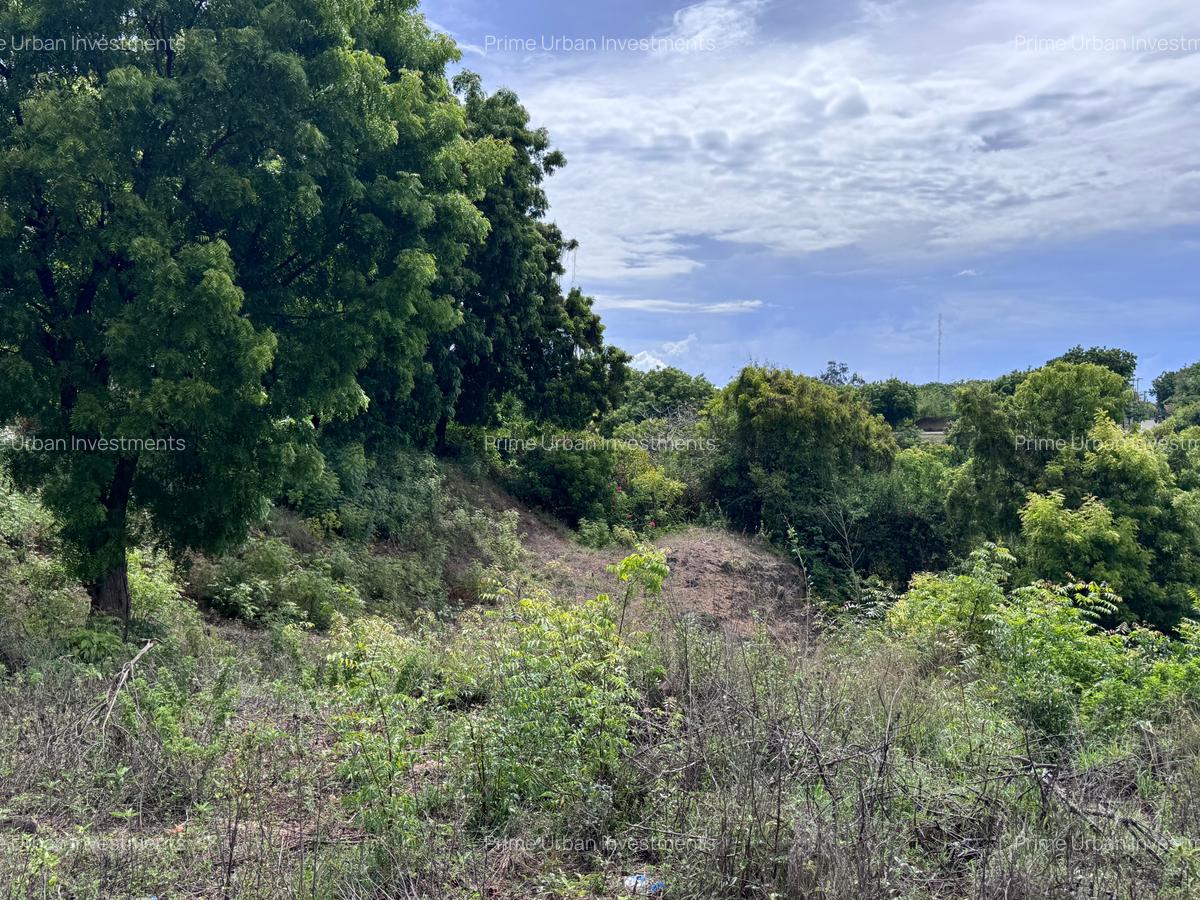 8,093.72 m² Land at Diani 3Rd Row Beach - 8