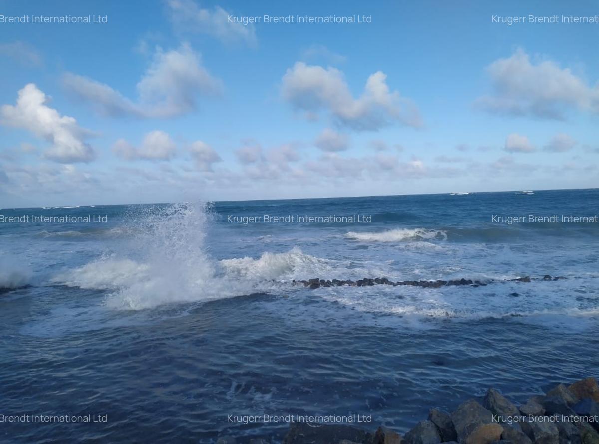 4 Bed Villa with En Suite in Bofa - 9