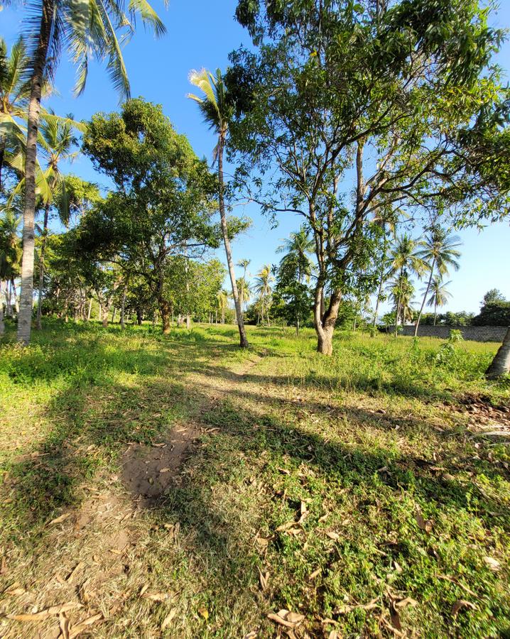 Residential Land in Nyali Area - 9