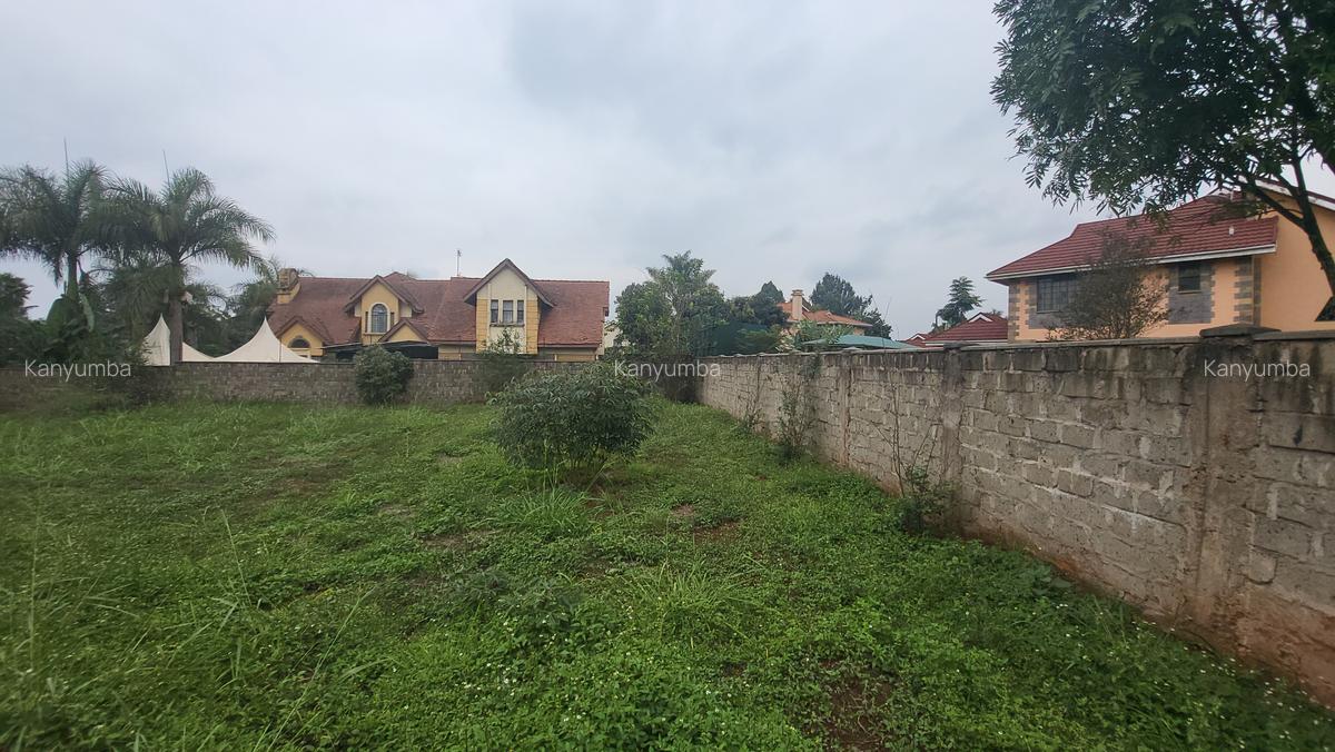 0.5 ac Land at Old Runda - 10