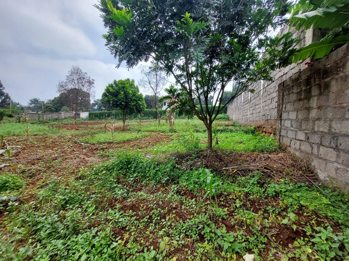 Residential Land at Pan African Insurance Avenue - 8