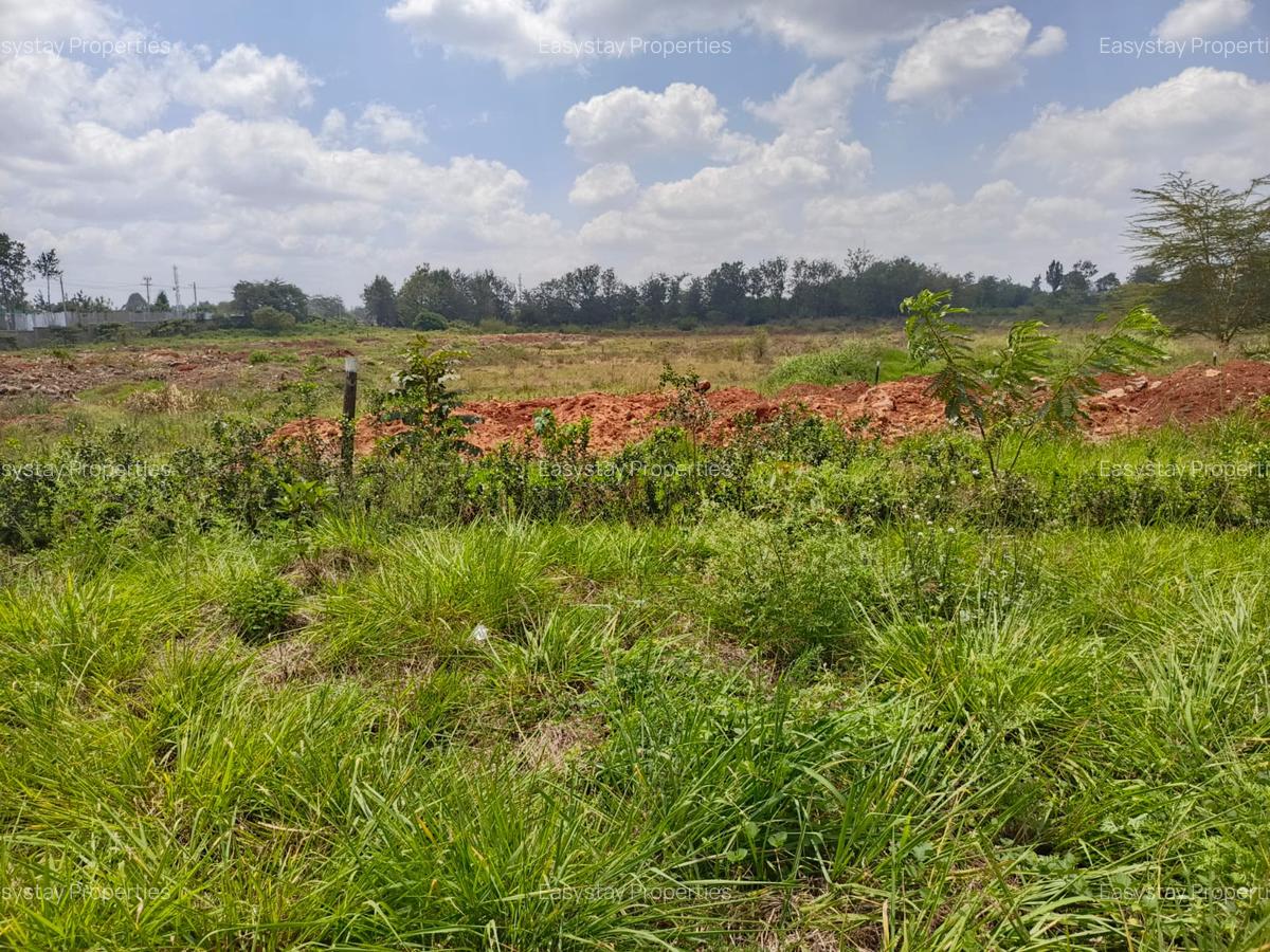 Land in Muthaiga - 4