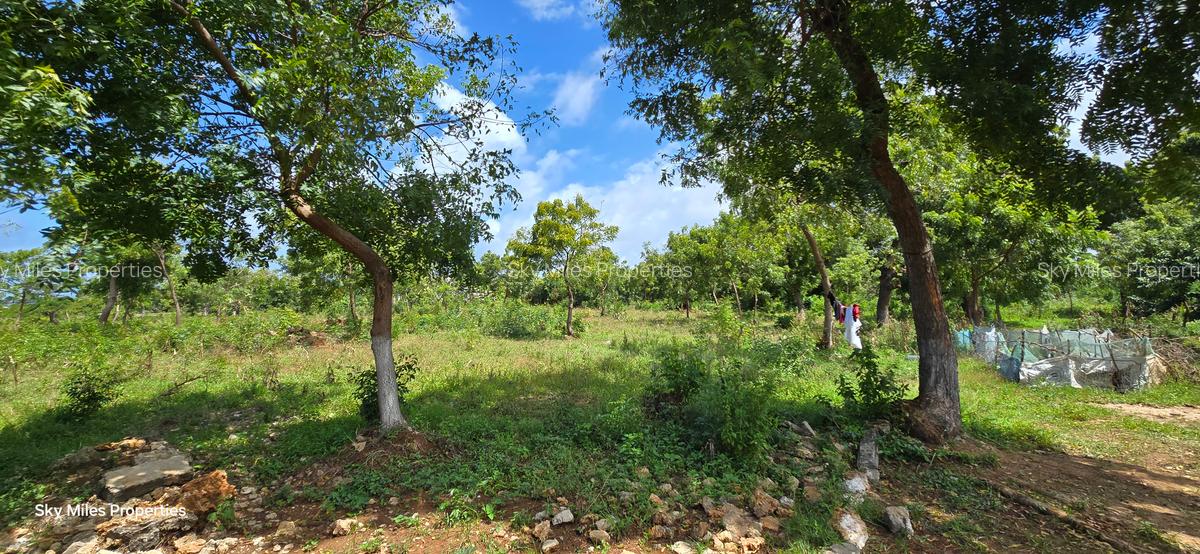 7 ac Land at Kikambala - 7