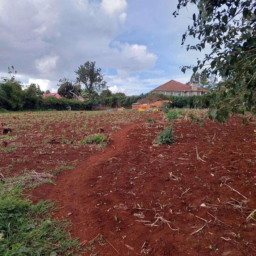 Residential Land at Runda Grove - 1