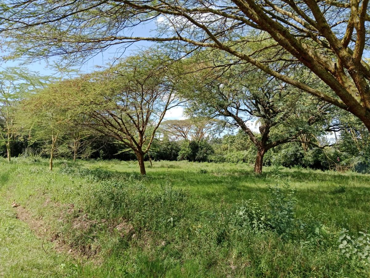 Land at Roysambu - 11