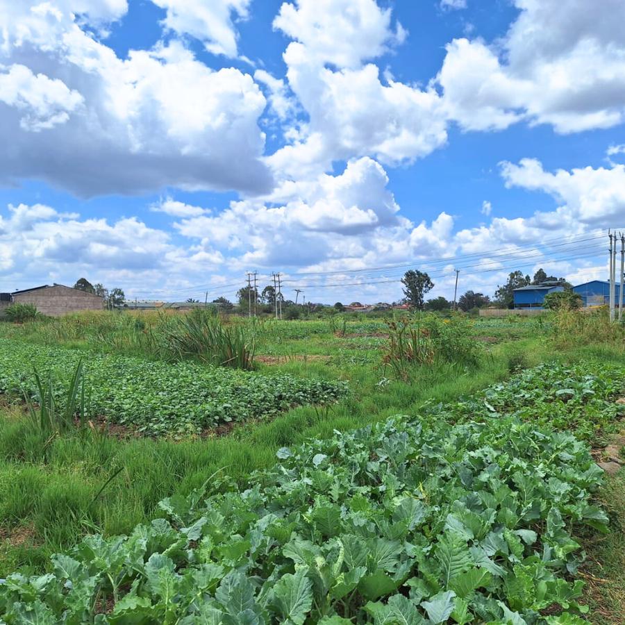 2.5 ac Land at Thika Road - 3