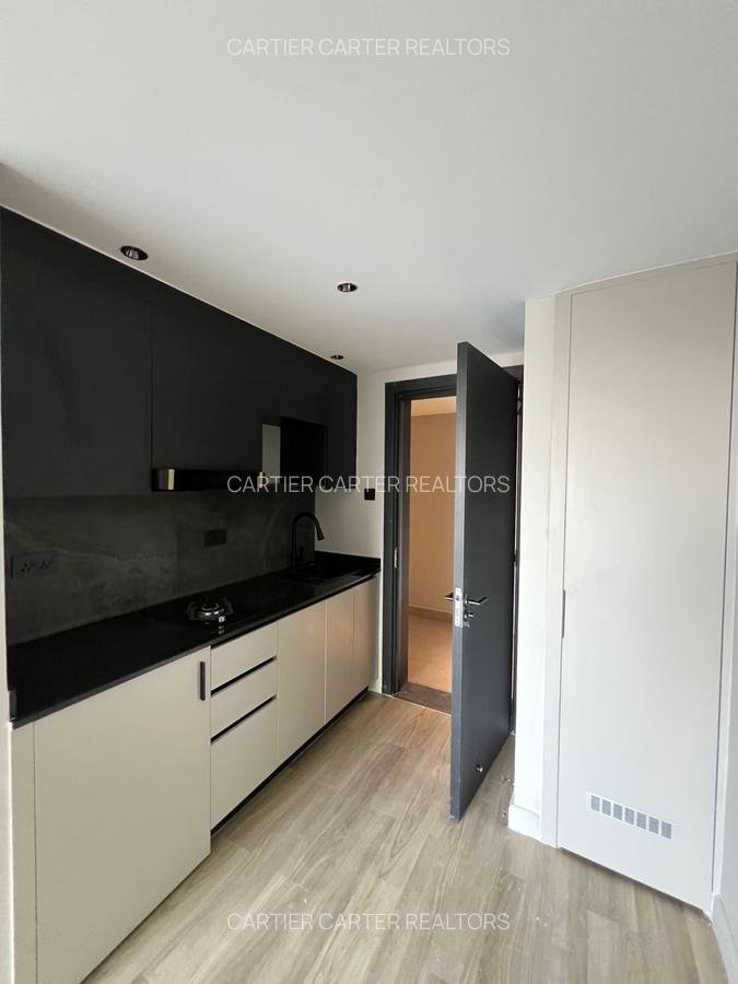 Studio Apartment with Swimming Pool in Upper Hill - 9