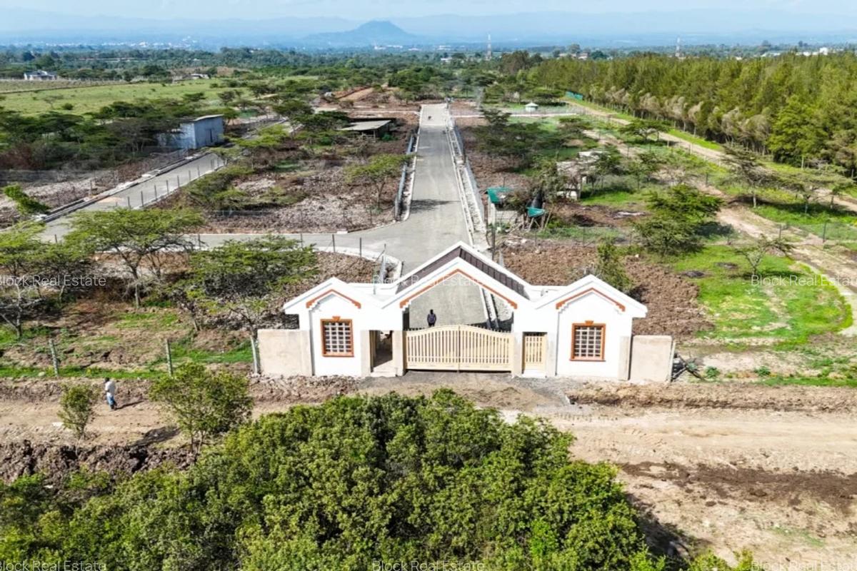 0.25 ac Residential Land in Nanyuki - 1