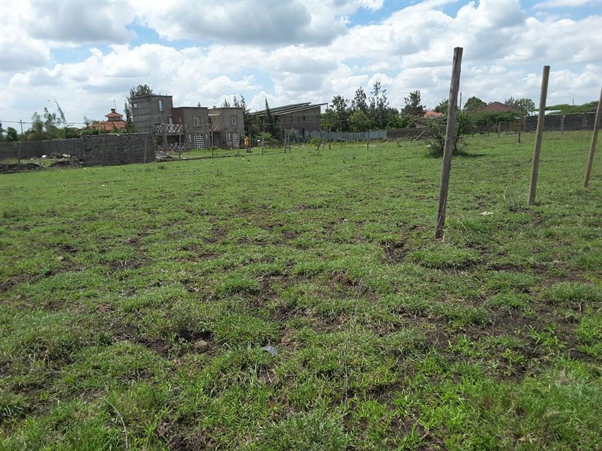 0.113 ac Residential Land in Ongata Rongai - 2