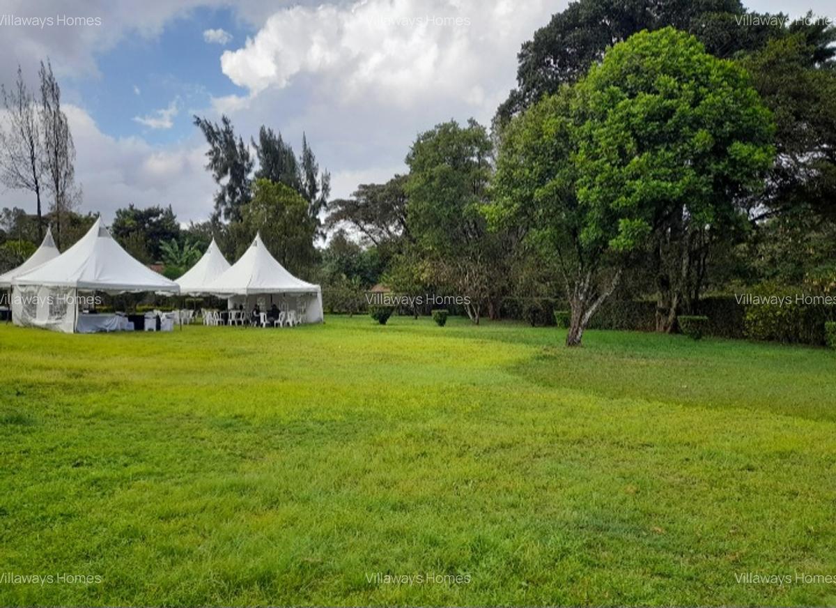 Commercial Property in Karen - 7