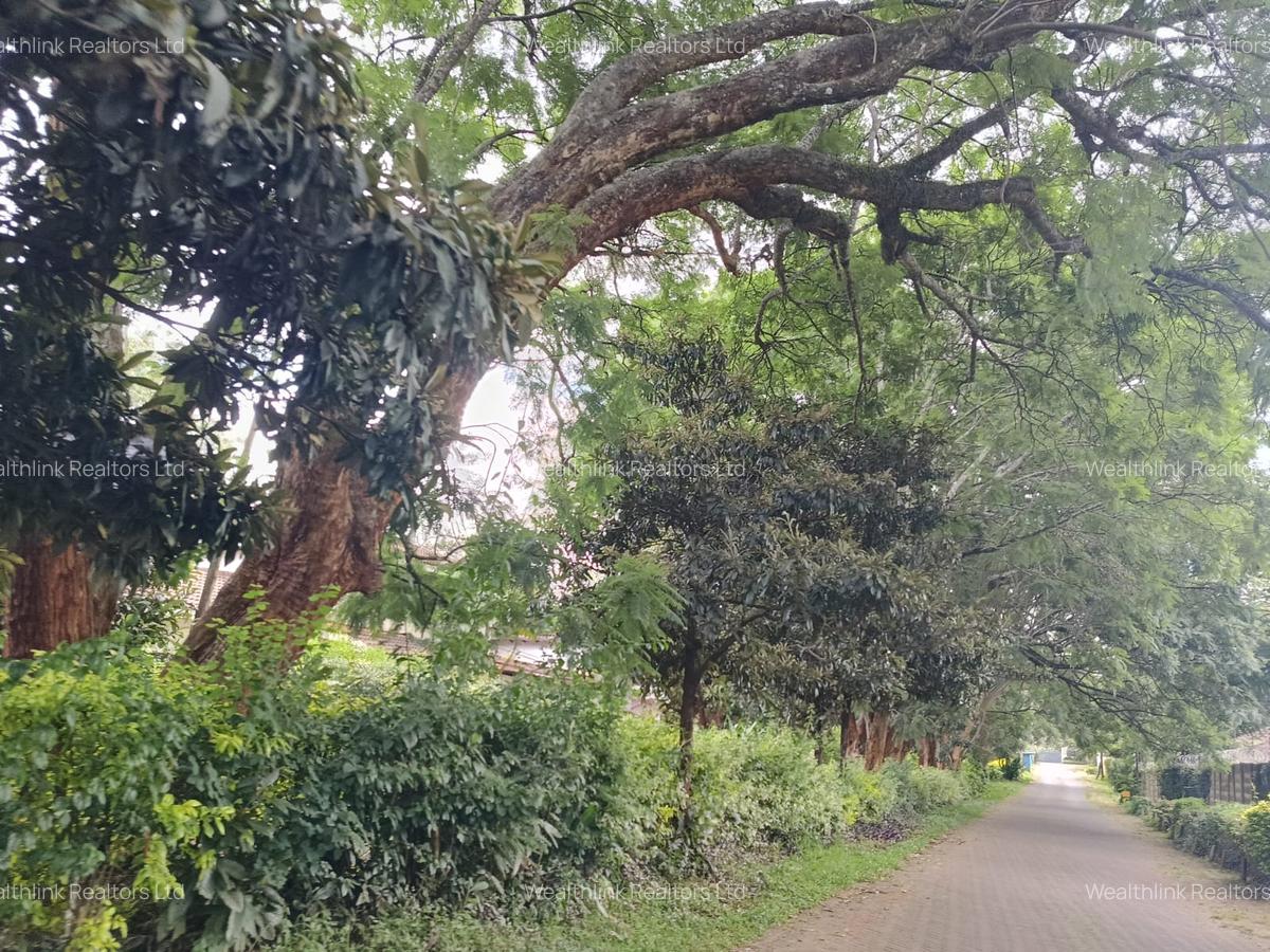 Residential Land at Paradise Lost/Mhasibu - 3