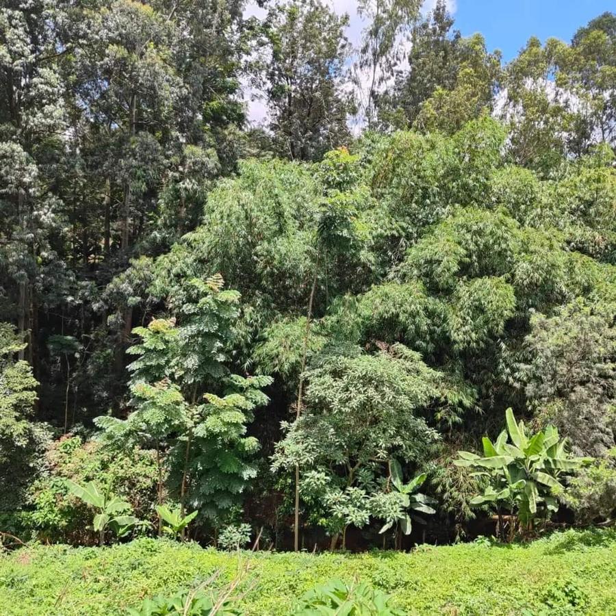 0.5 ac Land at Kitisuru Springs - 17