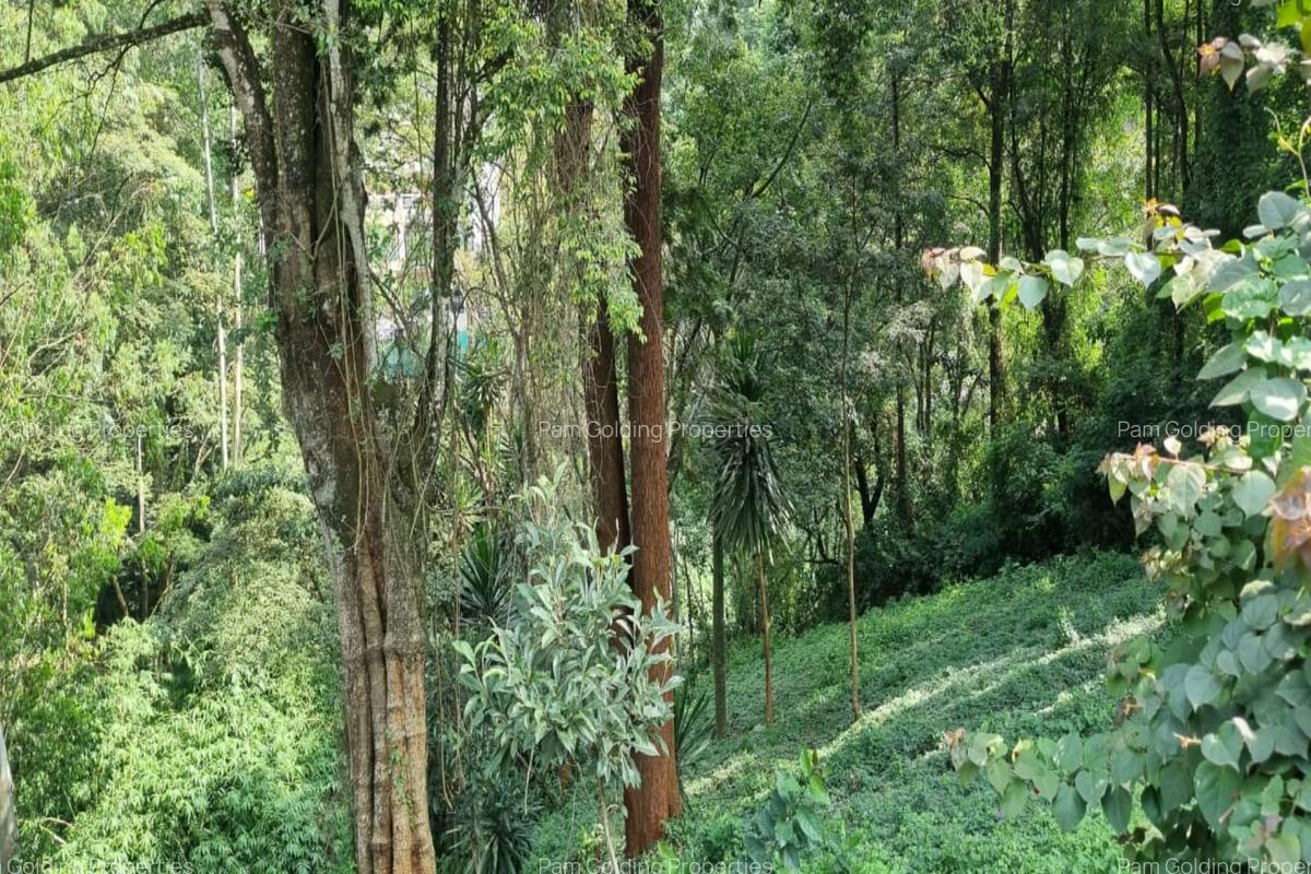 0.5 m² Land at Kitisuru Road - 2