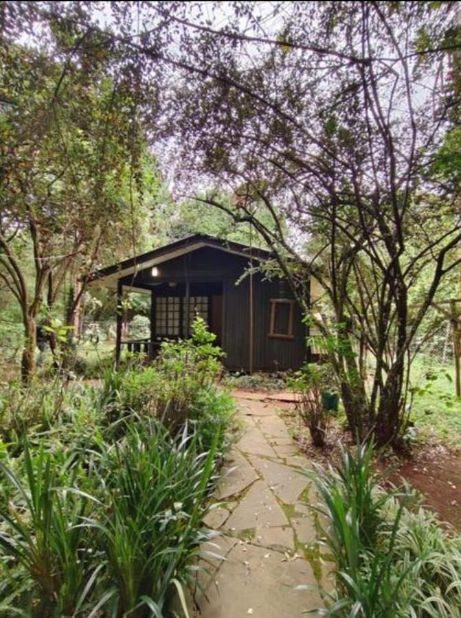 2 Bed House with En Suite at Karen - 17