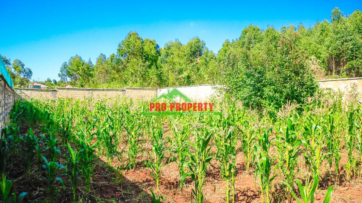 0.05 ha Residential Land at Kamangu - 2