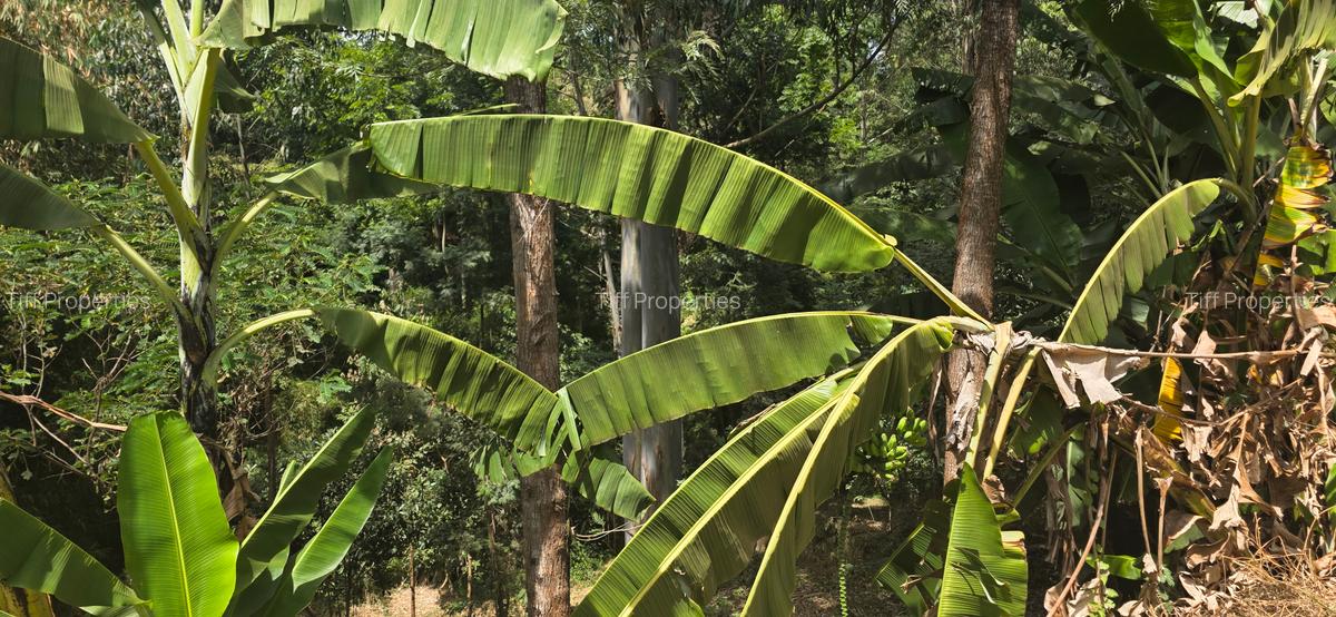 Land in Kitisuru - 6