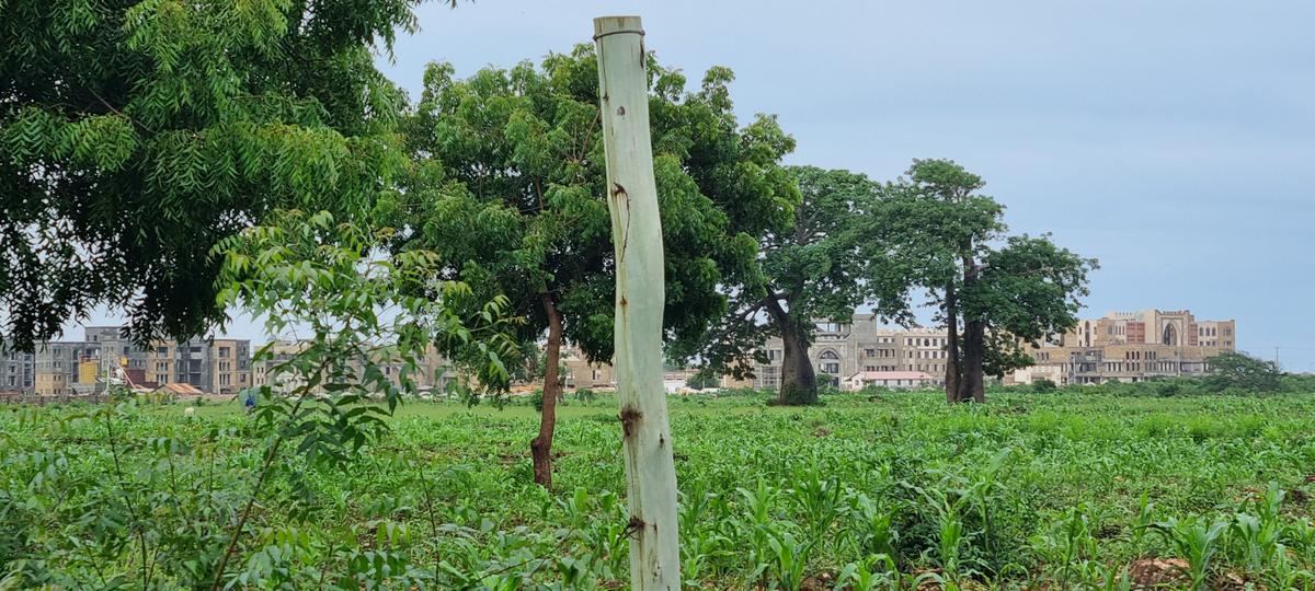 5 ac Land at Vipingo - 1