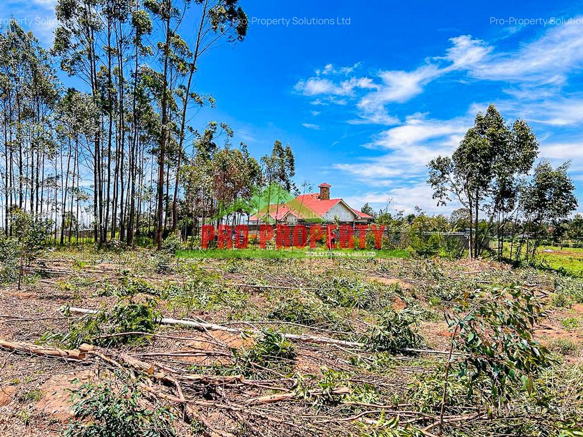 0.05 ha Residential Land in Gikambura - 15