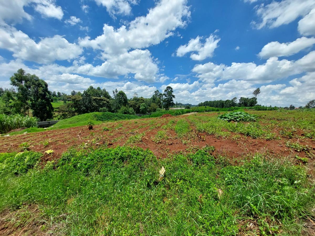 Land at Pan African Insurance Avenue - 3