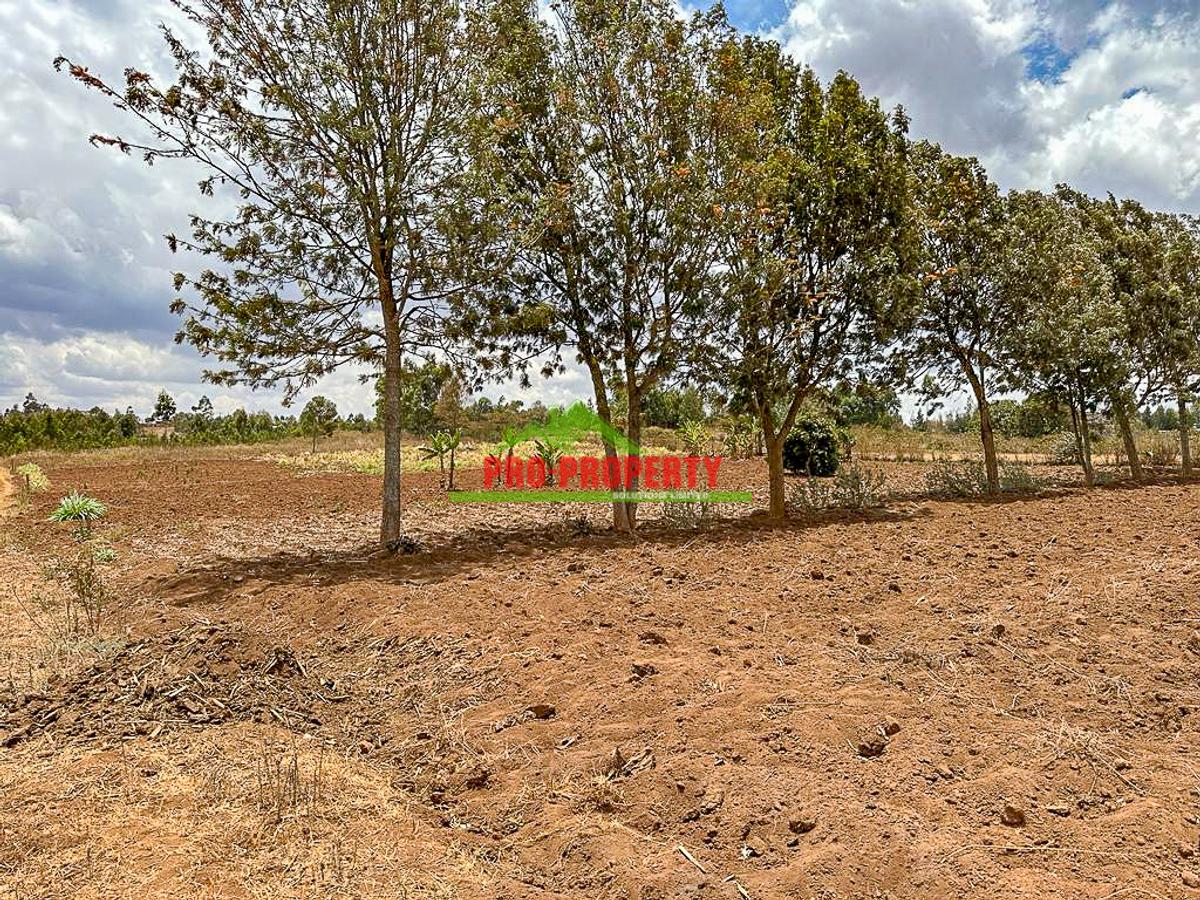 0.2 ha Residential Land in Kamangu - 2