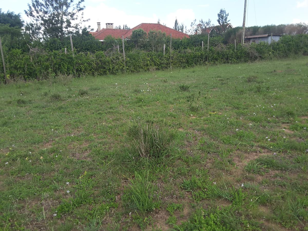 0.25 ac Land in Ongata Rongai - 2