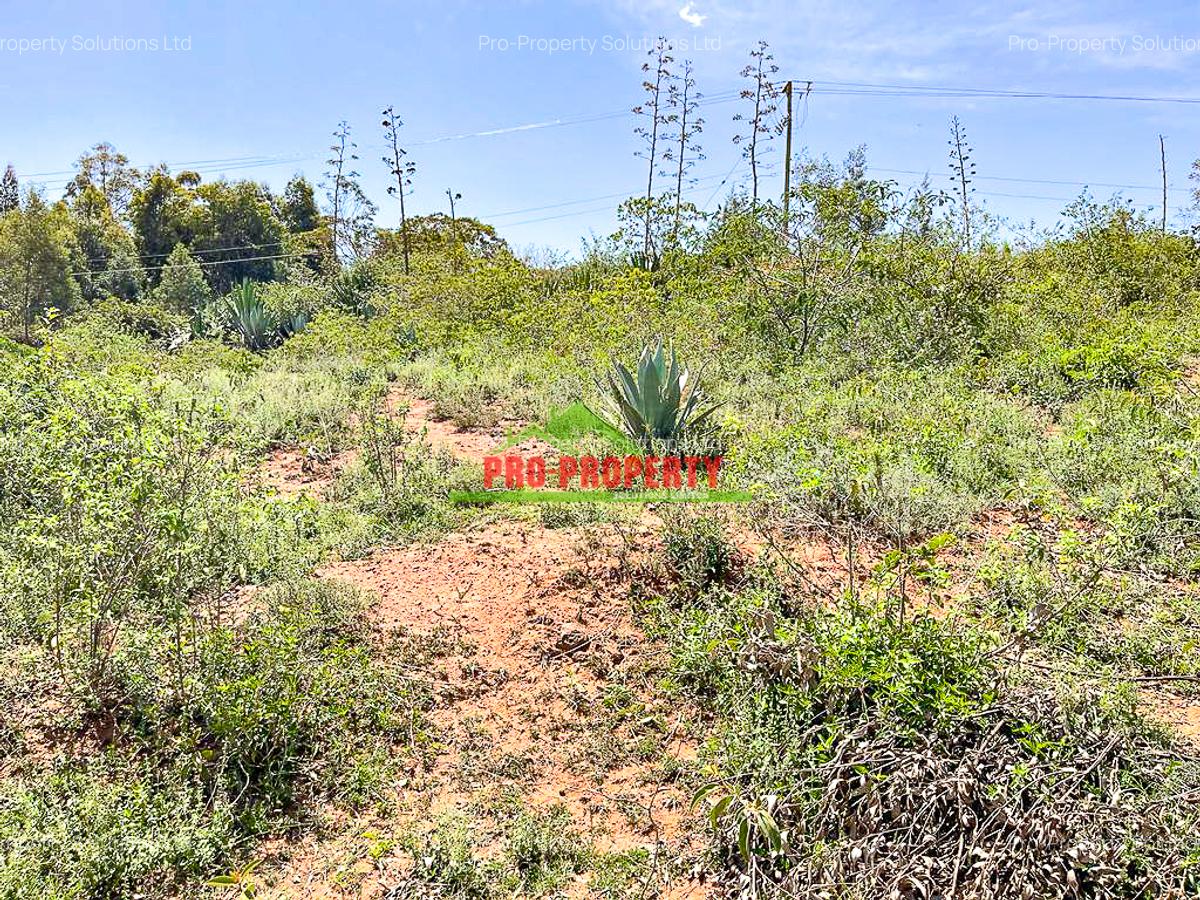 0.05 ha Residential Land at Lusigetti - 4