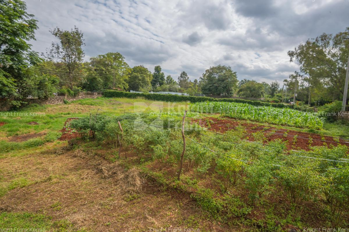 0.64 ac Land in Ridgeways - 3