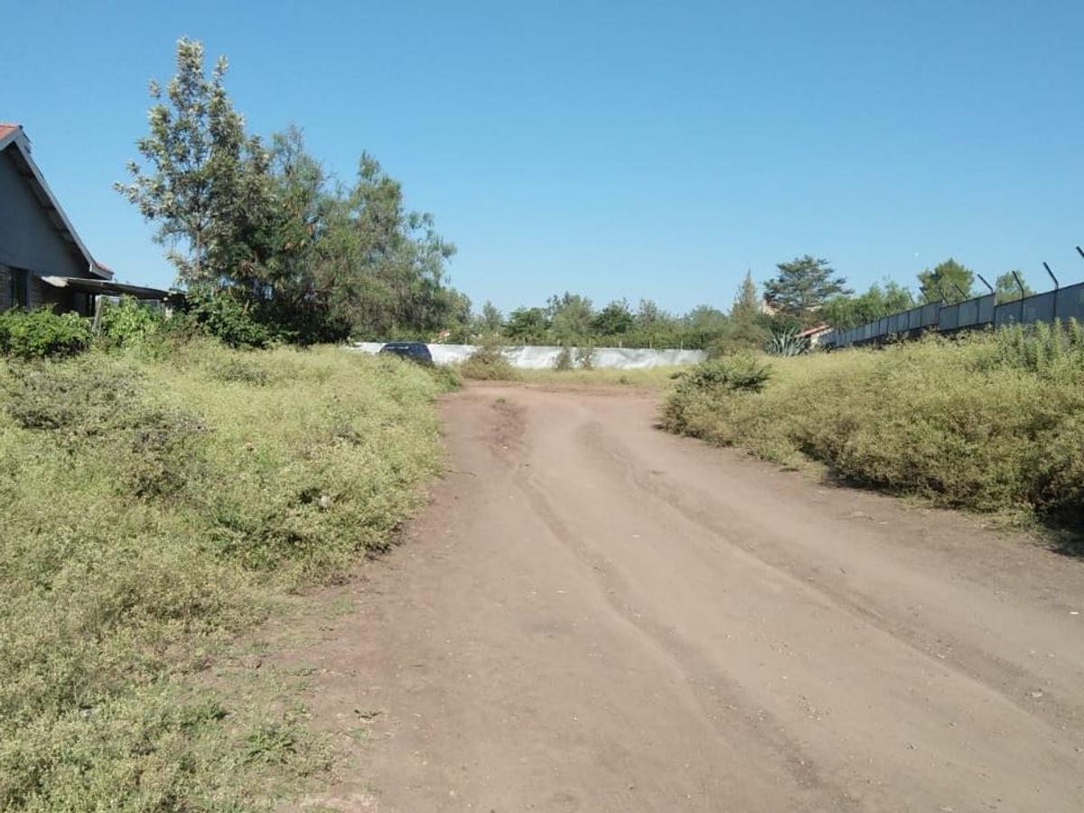 0.25 ac Commercial Land at Pinto Rd - 4