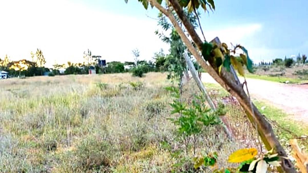 1 ac Residential Land at Namanga Road - 6