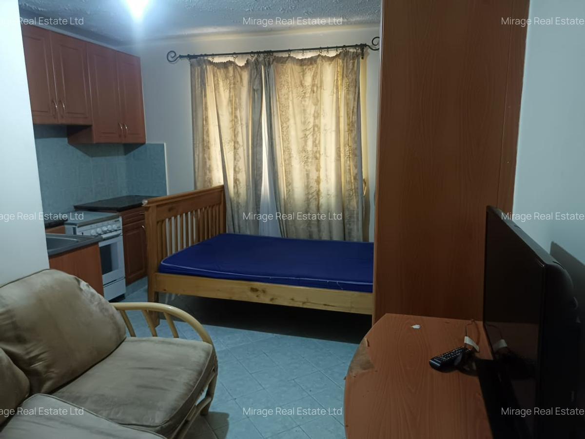 Studio Apartment with Borehole in Lavington - 10