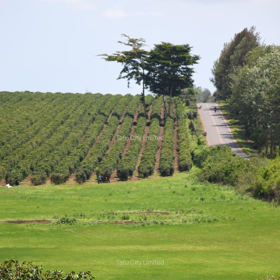 Land in Juja - 6