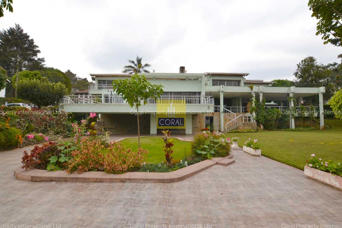 Office with Backup Generator in Lavington - 1