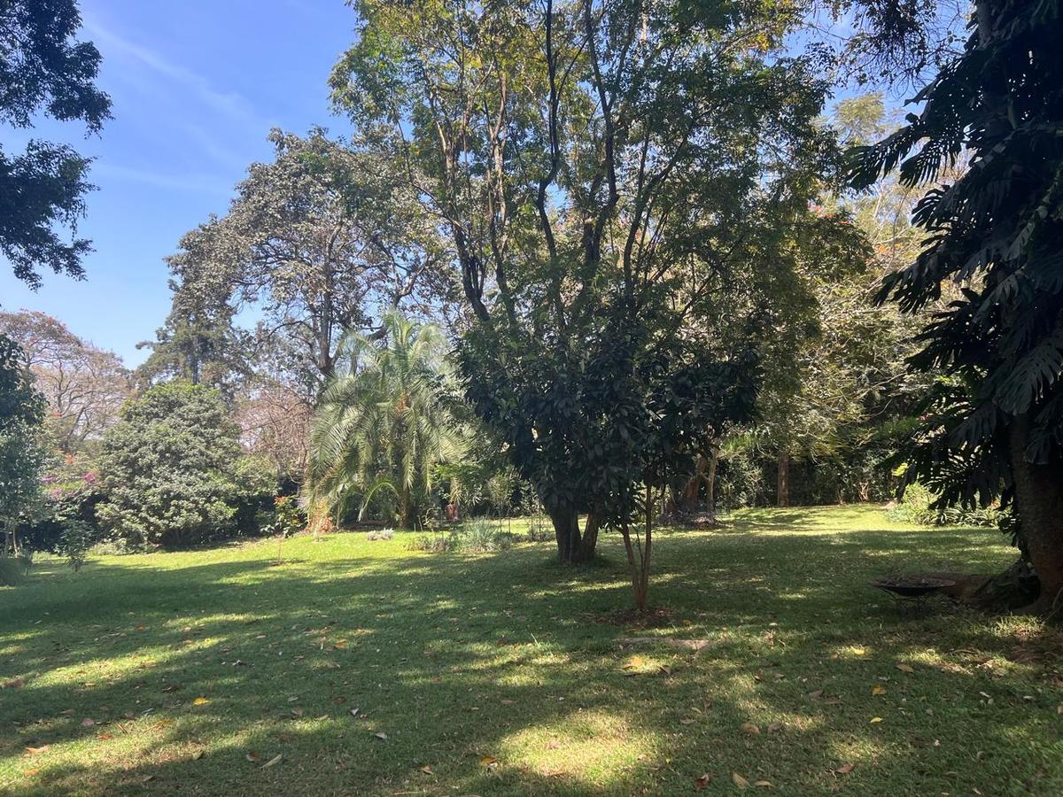 0.5 ac Residential Land at Runda Ridge - 9