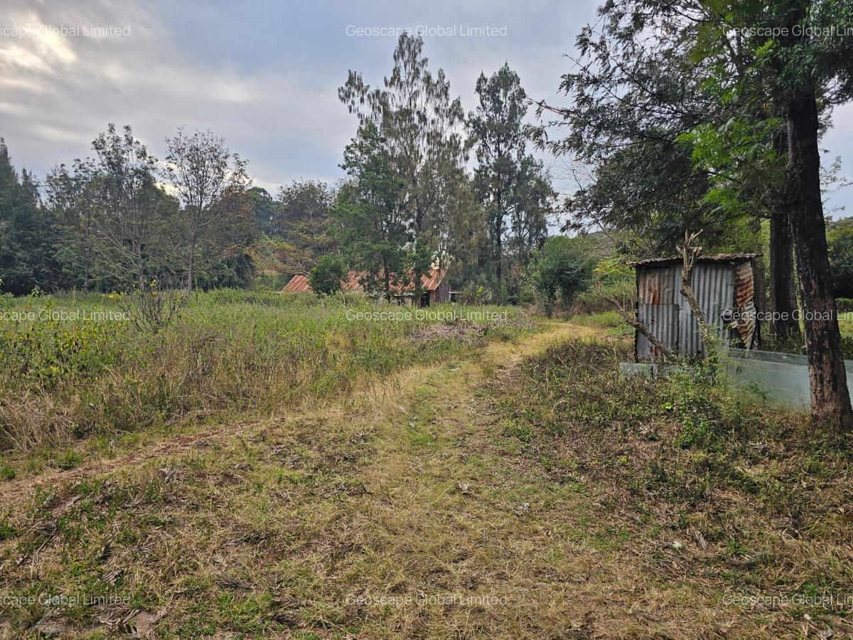 1 ac Land in Karen - 2