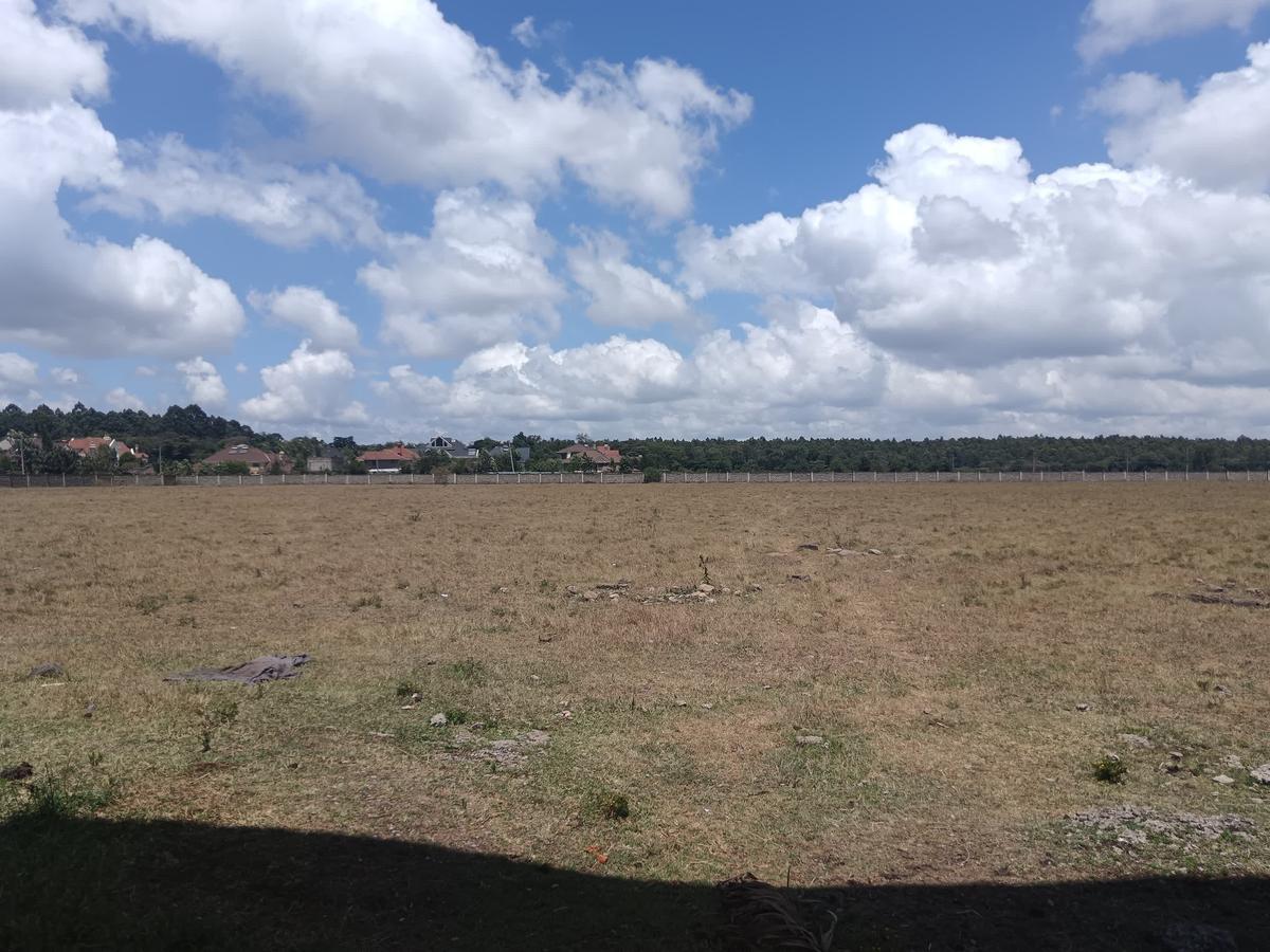 15 ac Land at Karen Road - 3