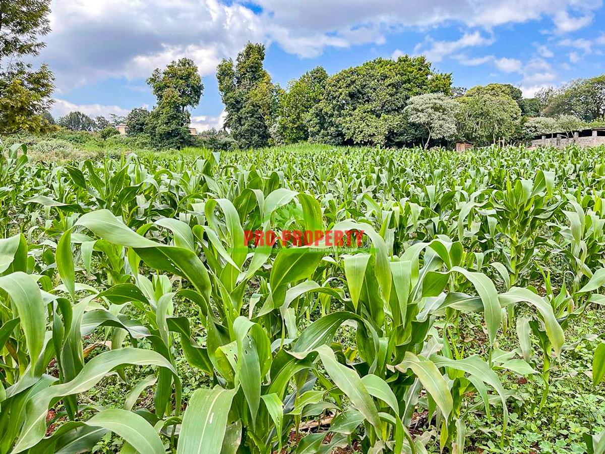 7.5 ac Land in Kikuyu Town - 9