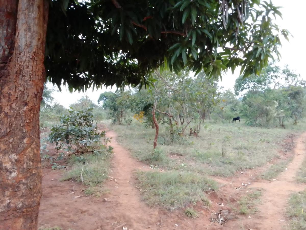 9 ac Land at Ithanga - 7