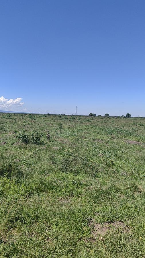 Residential Land at Kimuri - 11