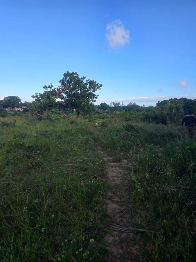 0.05 ha Land at Amani Tiwi Beach Estate - 13