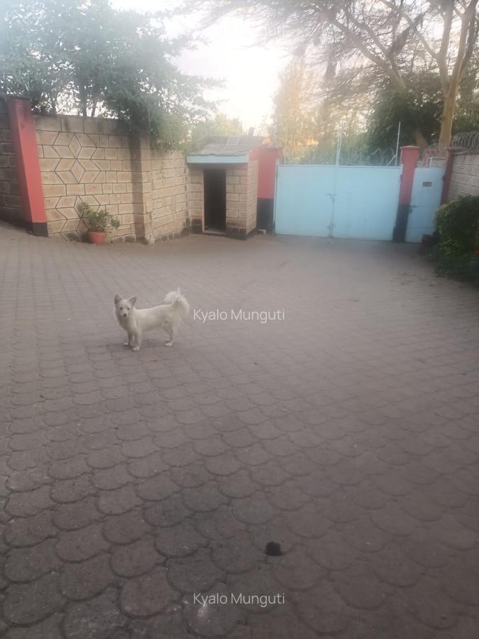 5 Bed House with En Suite at Cedar Avenue - 1