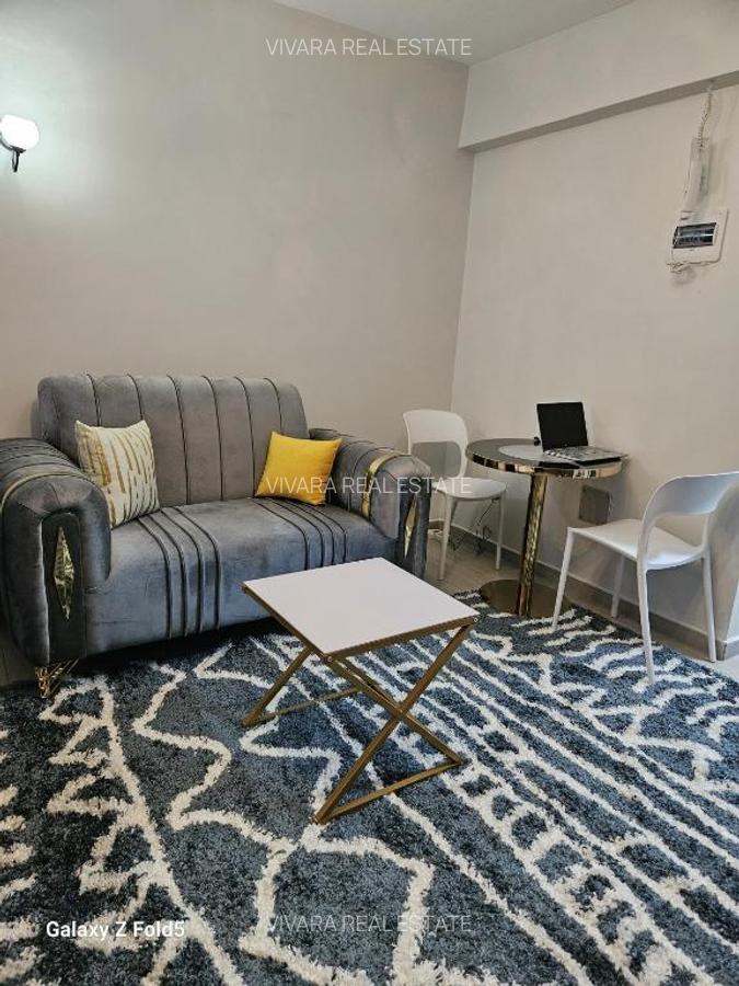 Studio Apartment with Swimming Pool at Kileleshwa - 2