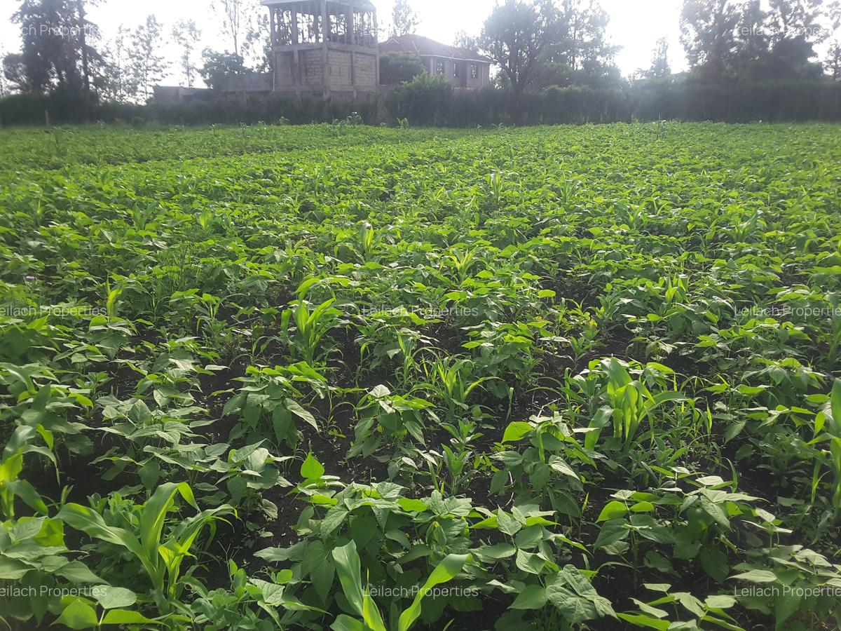 0.25 ac Residential Land in Ongata Rongai - 3