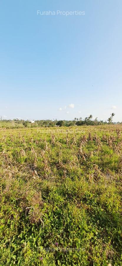 Land in Kilifi - 11