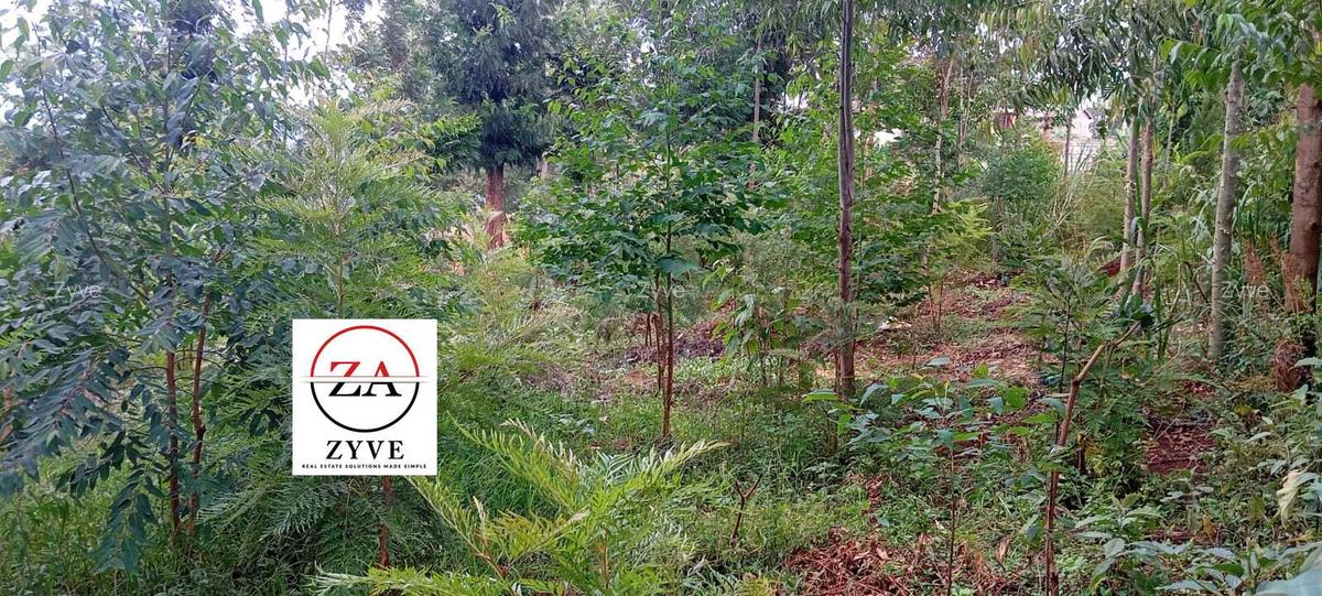 0.125 ac Land at Kasphat Estate - 7