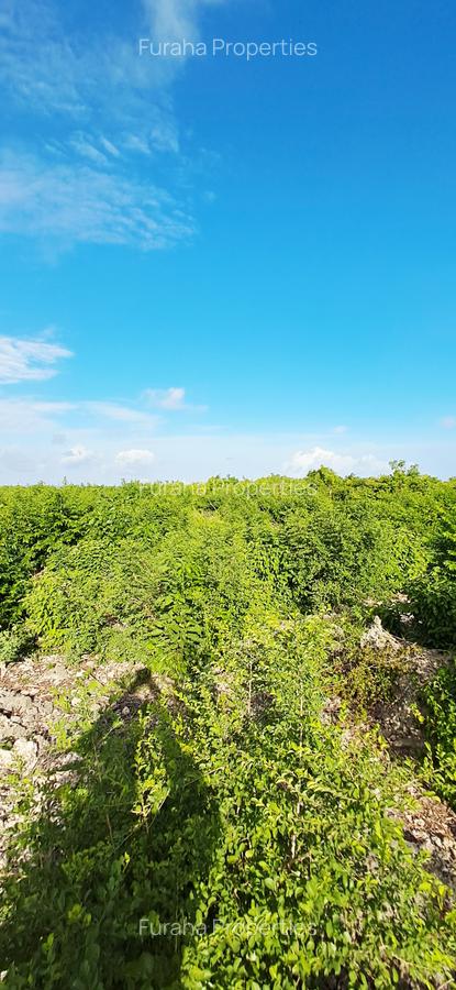 Land at Watamu - 1