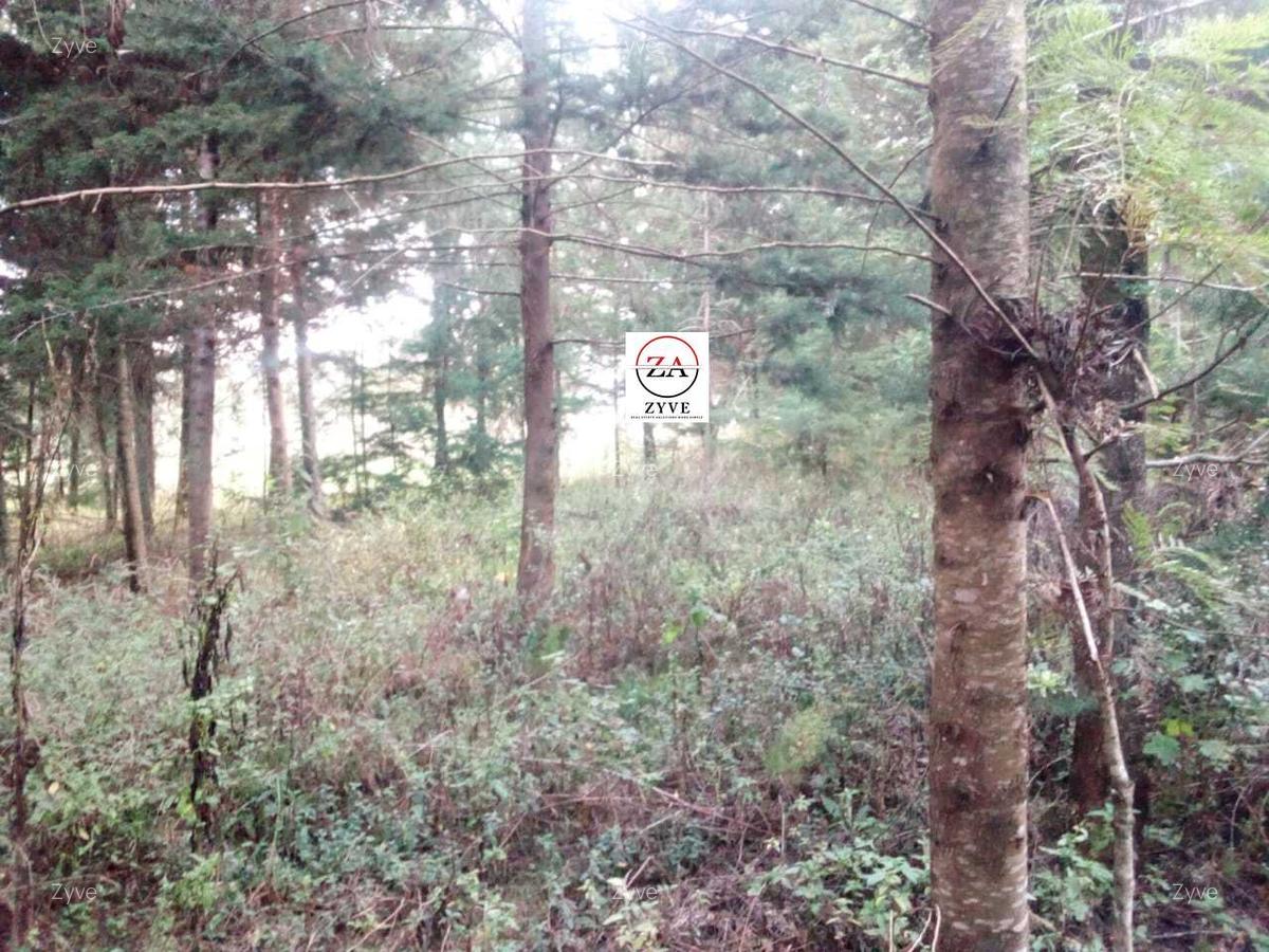 6 ac Land at Mukima Ridge - 9