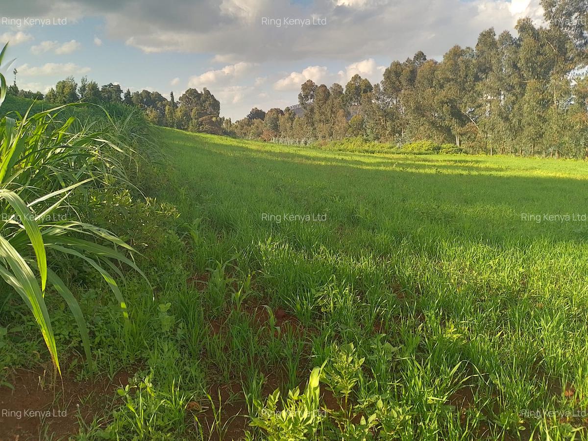 Land at Kibirichia - 1