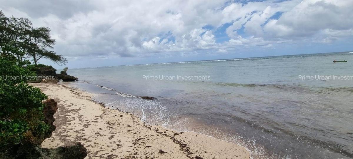Land at Kuruwitu Beach Vipingo - 1