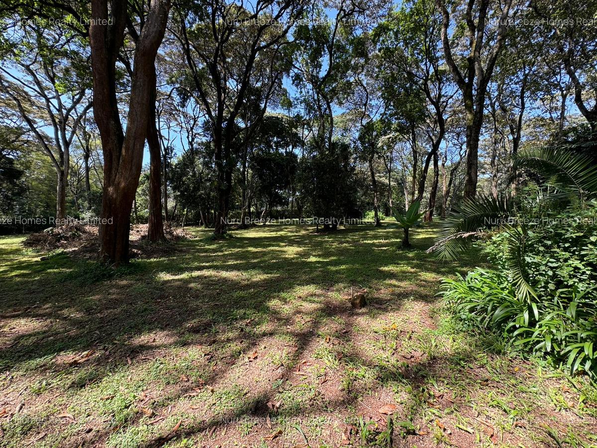 1 ac Land in Karen - 2